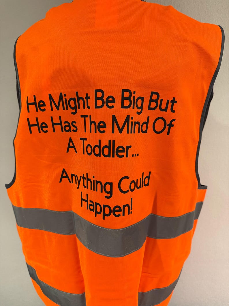 Funny Hi-Vis Horse Riding Vest, Mind of a Toddler Slogan, Adult Equestrian Gift — photograph 3
