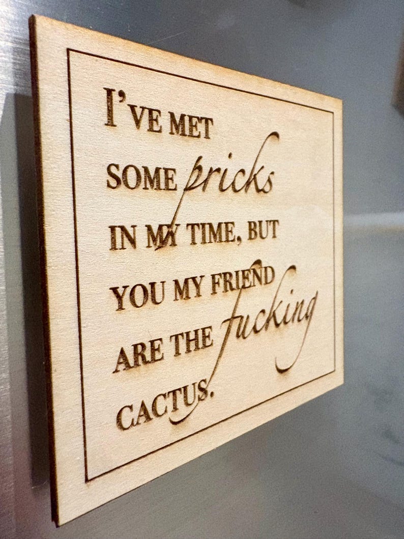 Funny Wooden Fridge Magnets, Set of 3, Sarcastic Adult Gag Gift — photograph 3
