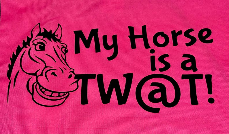 Funny Hi-Vis Riding Vest, My Horse Slogan, Adult Equestrian Novelty Gift — photograph 2