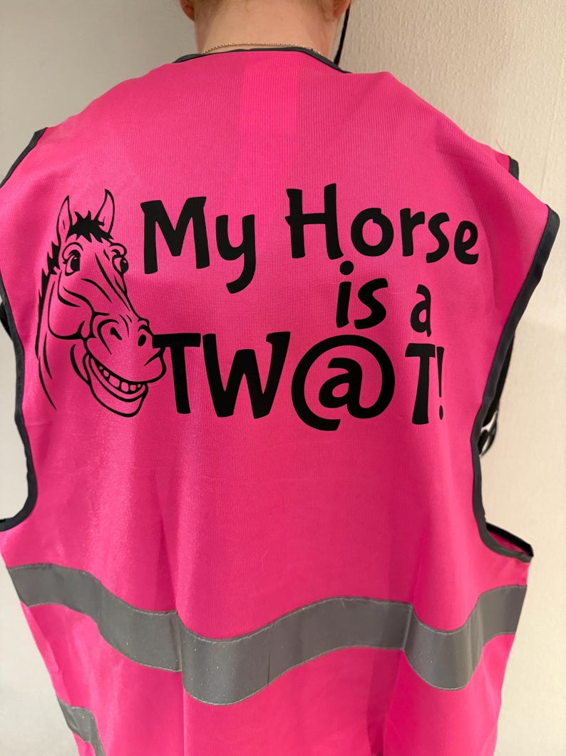 Funny Hi-Vis Riding Vest, My Horse Slogan, Adult Equestrian Novelty Gift — photograph 1