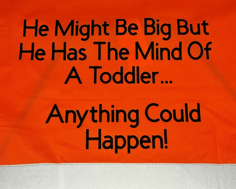 Funny Hi-Vis Horse Riding Vest, Mind of a Toddler Slogan, Adult Equestrian Gift — photograph 2